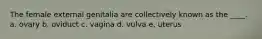 The female external genitalia are collectively known as the ____. a. ovary b. oviduct c. vagina d. vulva e. uterus