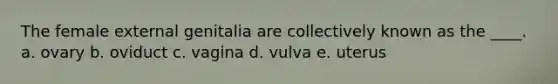 The female external genitalia are collectively known as the ____. a. ovary b. oviduct c. vagina d. vulva e. uterus