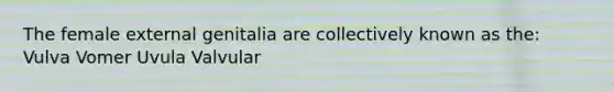 The female external genitalia are collectively known as the: Vulva Vomer Uvula Valvular