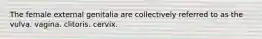 The female external genitalia are collectively referred to as the vulva. vagina. clitoris. cervix.
