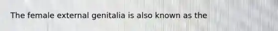 The female external genitalia is also known as the