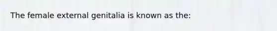 The female external genitalia is known as the: