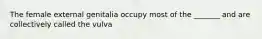 The female external genitalia occupy most of the _______ and are collectively called the vulva