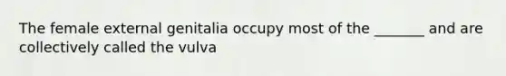 The female external genitalia occupy most of the _______ and are collectively called the vulva