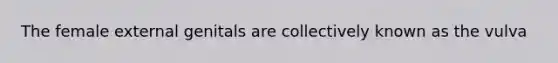 The female external genitals are collectively known as the vulva