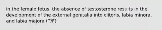 in the female fetus, the absence of testosterone results in the development of the external genitalia into clitoris, labia minora, and labia majora (T/F)