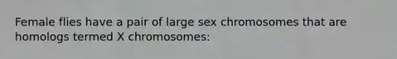 Female flies have a pair of large sex chromosomes that are homologs termed X chromosomes: