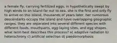 a female fly, carrying fertilized eggs, in hypothetically swept by high winds to an island far out to sea. she is the first and only fly to arrive on this island. thousands of years later, her numerous descendants occupy the island and have overlapping geographic ranges. they are separated into several different species with different foods, mouthparts, egg-laying sites, and egg shapes. what term best describes this process? a) adaptive radiation b) heterochrony c) artificial selection d) paedomorphosis