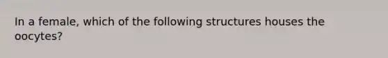 In a female, which of the following structures houses the oocytes?