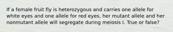 If a female fruit fly is heterozygous and carries one allele for white eyes and one allele for red eyes, her mutant allele and her nonmutant allele will segregate during meiosis I. True or false?