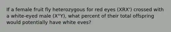 If a female fruit fly heterozygous for red eyes (XRX') crossed with a white-eyed male (X°Y), what percent of their total offspring would potentially have white eves?