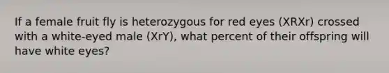 If a female fruit fly is heterozygous for red eyes (XRXr) crossed with a white-eyed male (XrY), what percent of their offspring will have white eyes?