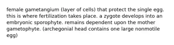 female gametangium (layer of cells) that protect the single egg. this is where fertilization takes place. a zygote develops into an embryonic sporophyte. remains dependent upon the mother gametophyte. (archegonial head contains one large nonmotile egg)