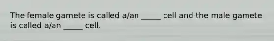 The female gamete is called a/an _____ cell and the male gamete is called a/an _____ cell.