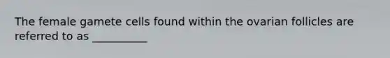 The female gamete cells found within the ovarian follicles are referred to as __________