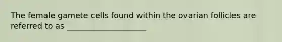 The female gamete cells found within the ovarian follicles are referred to as ____________________