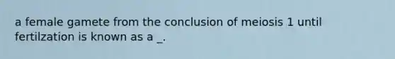 a female gamete from the conclusion of meiosis 1 until fertilzation is known as a _.