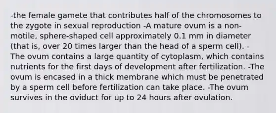 -the female gamete that contributes half of the chromosomes to the zygote in sexual reproduction -A mature ovum is a non-motile, sphere-shaped cell approximately 0.1 mm in diameter (that is, over 20 times larger than the head of a sperm cell). - The ovum contains a large quantity of cytoplasm, which contains nutrients for the first days of development after fertilization. -The ovum is encased in a thick membrane which must be penetrated by a sperm cell before fertilization can take place. -The ovum survives in the oviduct for up to 24 hours after ovulation.