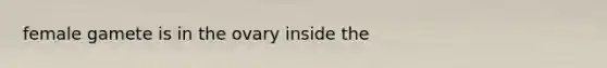 female gamete is in the ovary inside the