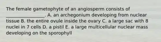 The female gametophyte of an angiosperm consists of _________________. A. an archegonium developing from nuclear tissue B. the entire ovule inside the ovary C. a large sac with 8 nuclei in 7 cells D. a pistil E. a large multicellular nuclear mass developing on the sporophyll