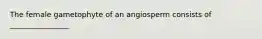 The female gametophyte of an angiosperm consists of ________________