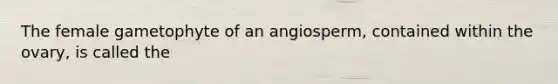 The female gametophyte of an angiosperm, contained within the ovary, is called the