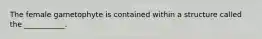 The female gametophyte is contained within a structure called the ___________.
