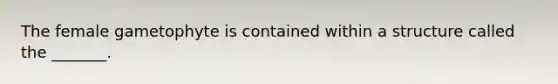 The female gametophyte is contained within a structure called the _______.