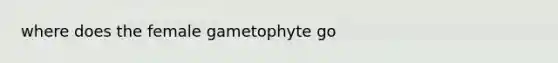 where does the female gametophyte go