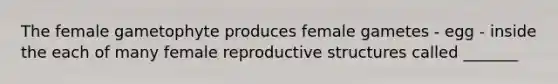 The female gametophyte produces female gametes - egg - inside the each of many female reproductive structures called _______