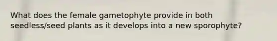 What does the female gametophyte provide in both seedless/seed plants as it develops into a new sporophyte?