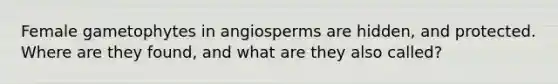 Female gametophytes in angiosperms are hidden, and protected. Where are they found, and what are they also called?