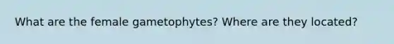 What are the female gametophytes? Where are they located?