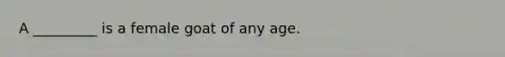 A _________ is a female goat of any age.
