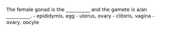 The female gonad is the __________ and the gamete is a/an __________. - epididymis, egg - uterus, ovary - clitoris, vagina - ovary, oocyte