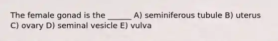 The female gonad is the ______ A) seminiferous tubule B) uterus C) ovary D) seminal vesicle E) vulva