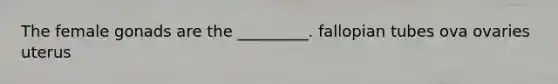 The female gonads are the _________. fallopian tubes ova ovaries uterus