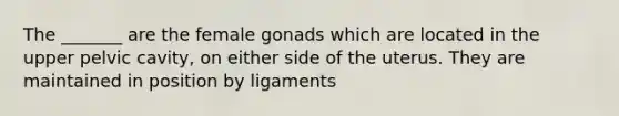 The _______ are the female gonads which are located in the upper pelvic cavity, on either side of the uterus. They are maintained in position by ligaments