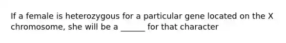 If a female is heterozygous for a particular gene located on the X chromosome, she will be a ______ for that character