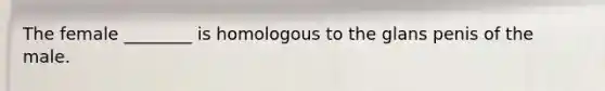 The female ________ is homologous to the glans penis of the male.