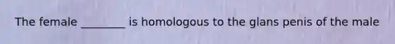 The female ________ is homologous to the glans penis of the male