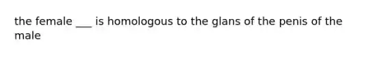 the female ___ is homologous to the glans of the penis of the male