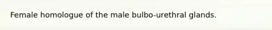 Female homologue of the male bulbo-urethral glands.