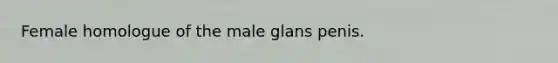 Female homologue of the male glans penis.