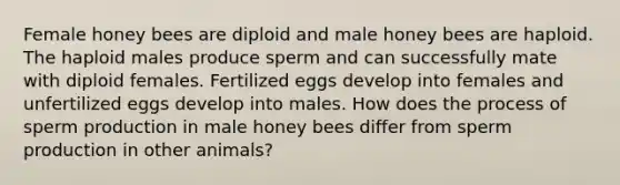 Female honey bees are diploid and male honey bees are haploid. The haploid males produce sperm and can successfully mate with diploid females. Fertilized eggs develop into females and unfertilized eggs develop into males. How does the process of sperm production in male honey bees differ from sperm production in other animals?