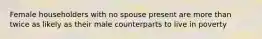 Female householders with no spouse present are more than twice as likely as their male counterparts to live in poverty