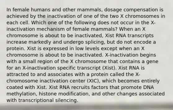 In female humans and other mammals, dosage compensation is achieved by the inactivation of one of the two X chromosomes in each cell. Which one of the following does not occur in the X-inactivation mechanism of female mammals? When an X chromosome is about to be inactivated, Xist RNA transcripts increase markedly and undergo splicing, but do not encode a protein. Xist is expressed in low levels except when an X chromosome is about to be inactivated. X-inactivation begins with a small region of the X chromosome that contains a gene for an X-inactivation specific transcript (Xist). Xist RNA is attracted to and associates with a protein called the X-chromosome inactivation center (XIC), which becomes entirely coated with Xist. Xist RNA recruits factors that promote DNA methylation, histone modification, and other changes associated with transcriptional silencing.