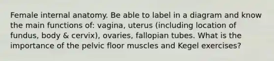 Female internal anatomy. Be able to label in a diagram and know the main functions of: vagina, uterus (including location of fundus, body & cervix), ovaries, fallopian tubes. What is the importance of the pelvic floor muscles and Kegel exercises?