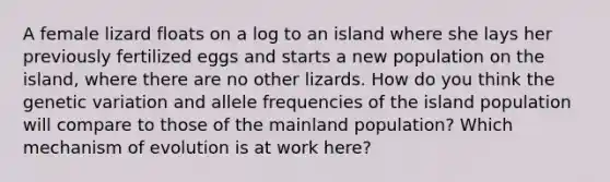 A female lizard floats on a log to an island where she lays her previously fertilized eggs and starts a new population on the island, where there are no other lizards. How do you think the genetic variation and allele frequencies of the island population will compare to those of the mainland population? Which mechanism of evolution is at work here?