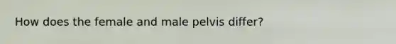 How does the female and male pelvis differ?